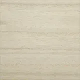 ライムホワイト 色