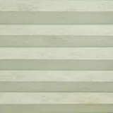 ホワイトレイン 色