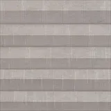 シルバーコイン 色