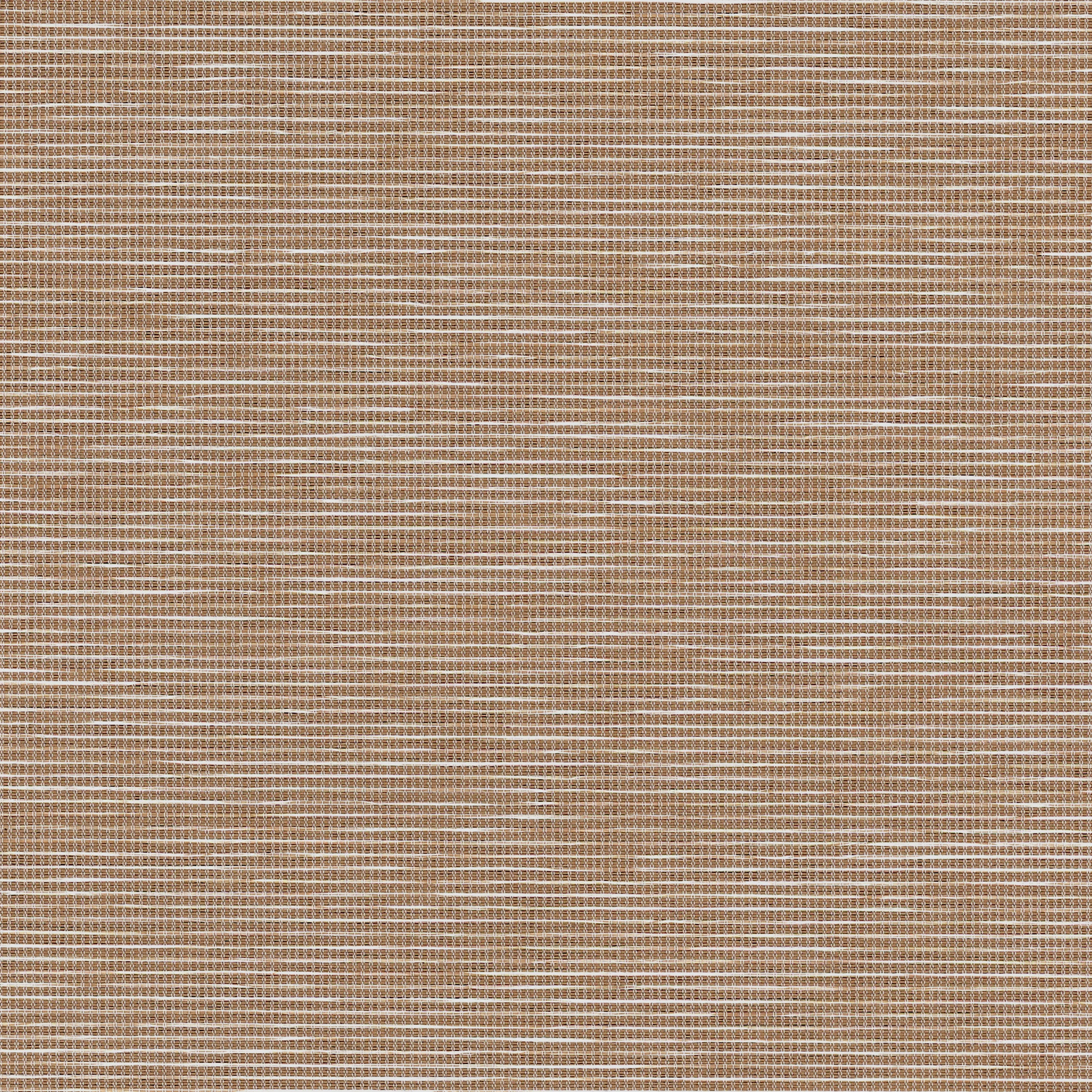 ライトココア 色