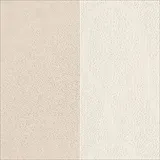 コットンウッド 色