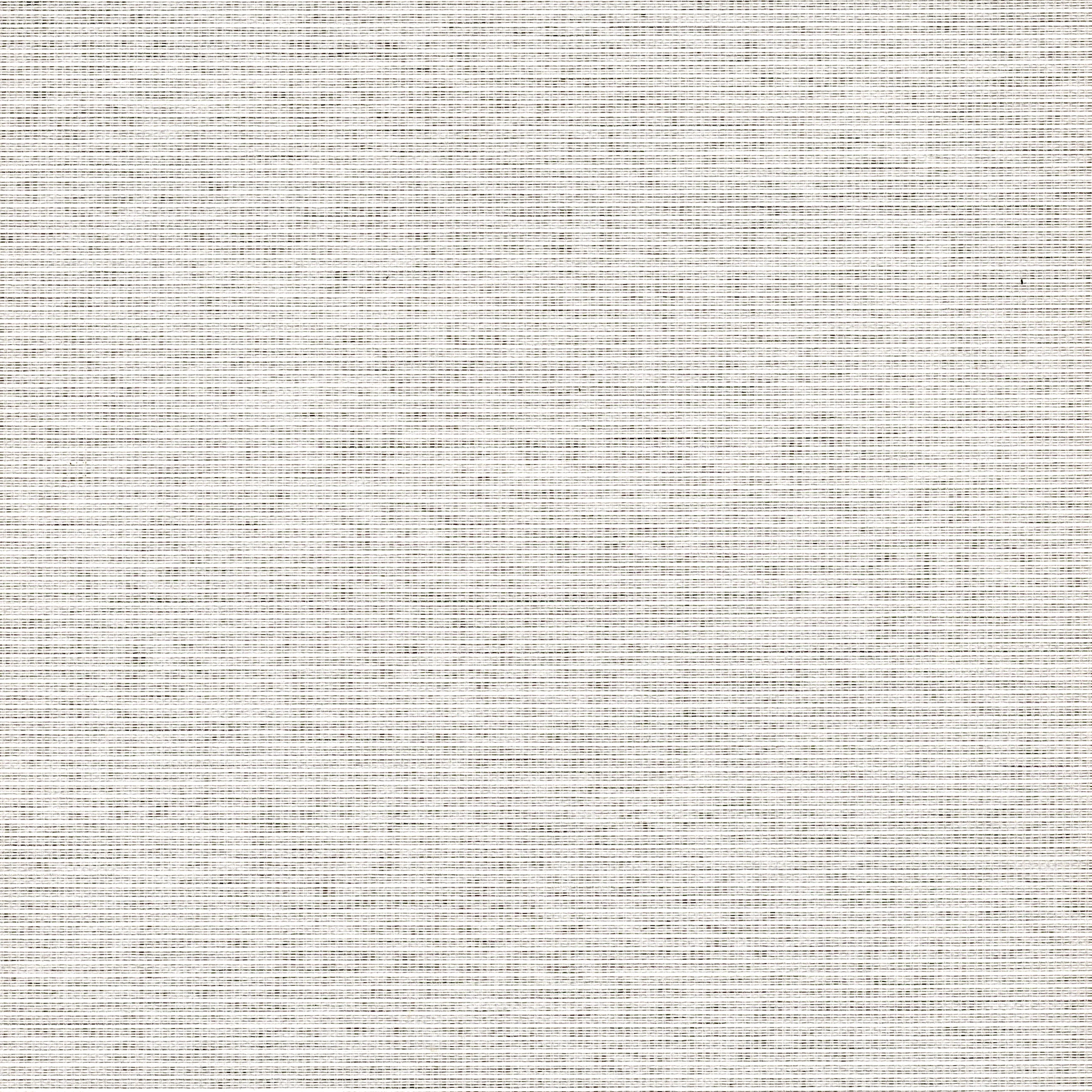 チョークホワイト 色