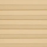 イエローブリスRD 色