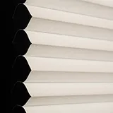 コットンクラウドRD 色