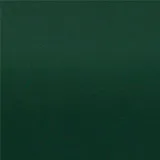 ディープアイビー 色