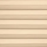 ナチュラルタンRD 色