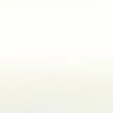 ブライトホワイト ◎ 色