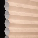 ウィート シャッター
