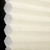 ニュードーン シャッター