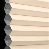 スイートカスタード シャッター