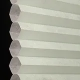 カタリナブルー シャッター