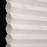 デイジー シャッター