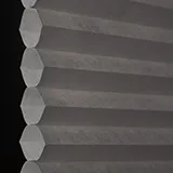 ブラックオリーブ シャッター