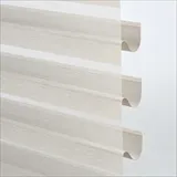シーサイド シャッター