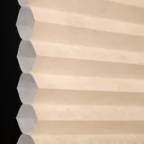 ソフトキャメル シャッター