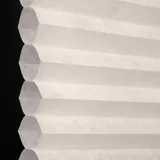 コットンクラウド シャッター