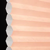 パシフィックコーブ シャッター