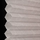 シルバーコイン シャッター