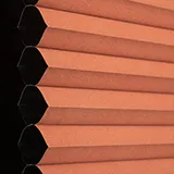 ルバーブRD シャッター