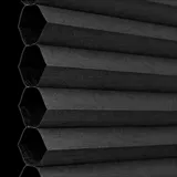 ウォームブラック シャッター