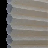 キャンバス シャッター