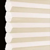 エッグシェルクリーム シャッター