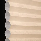 ソフトキャメル シャッター