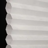 フレンチシルバー シャッター