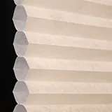 ガーデニア シャッター