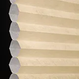 イエローブリス シャッター