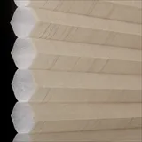 コーヒーフロート シャッター