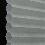 ウィンターソルスティス シャッター