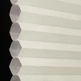 ペールオーク シャッター