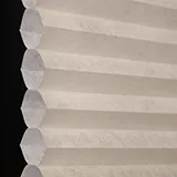 パシュミナ シャッター