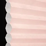 モーニングブラッシュ シャッター