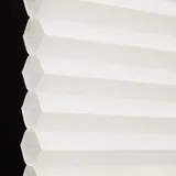 白粉（おしろい） シャッター