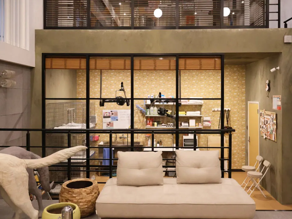 TVドラマ『初恋DOGs』美術協力の写真10