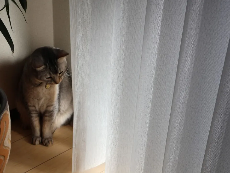 賃貸でも、心地よい暮らしの写真7