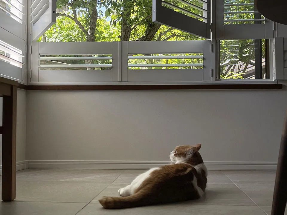 猫と人に寄り添う上質な窓辺の写真6