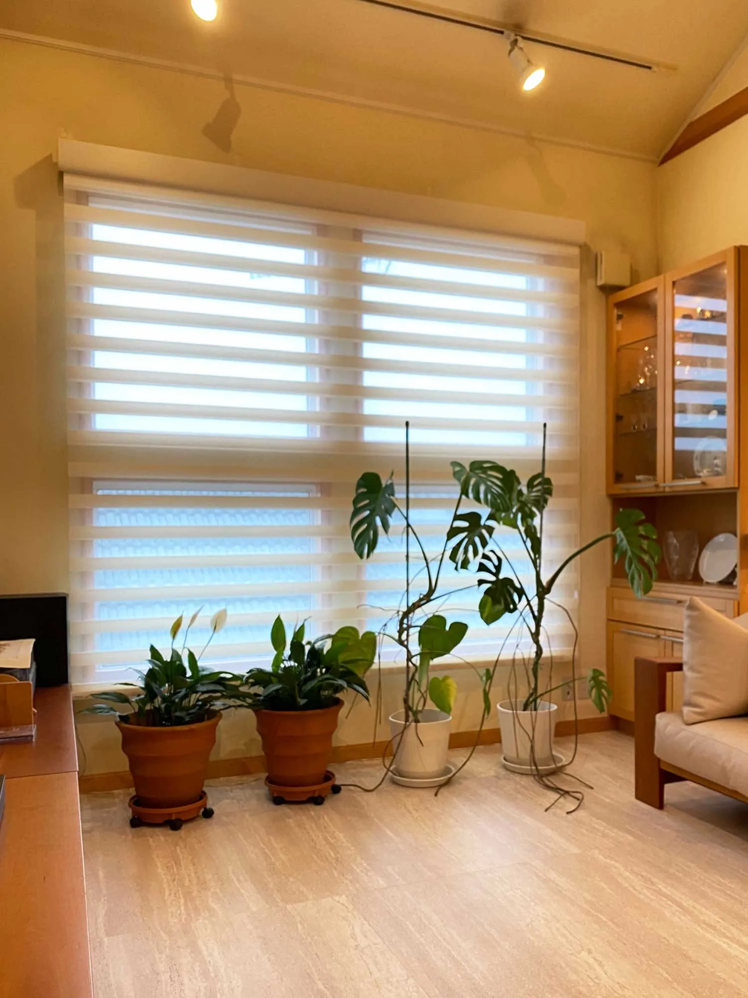 窓に応じた賢い選択―3アイテムの見事な調和の写真5