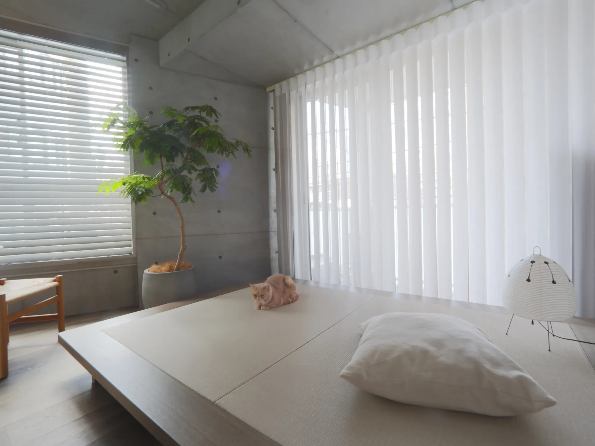 『建築家二人暮らし』タイアップ企画の写真10