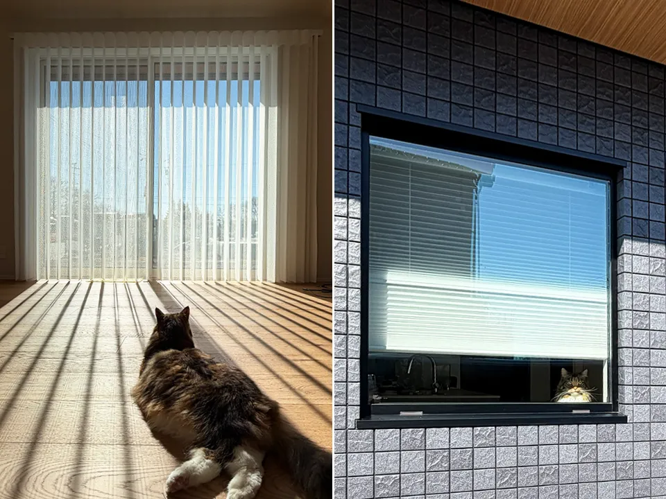 猫と快適に暮らす窓辺の写真4