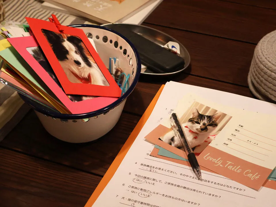 TVドラマ『初恋DOGs』美術協力の写真5