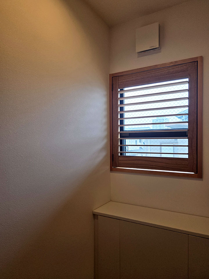 愛猫と光を楽しむ日常の写真7