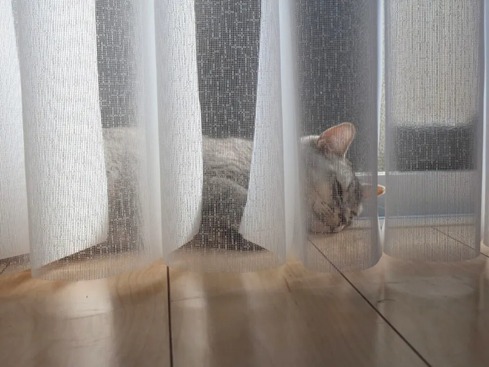 賃貸でも、心地よい暮らしの写真13