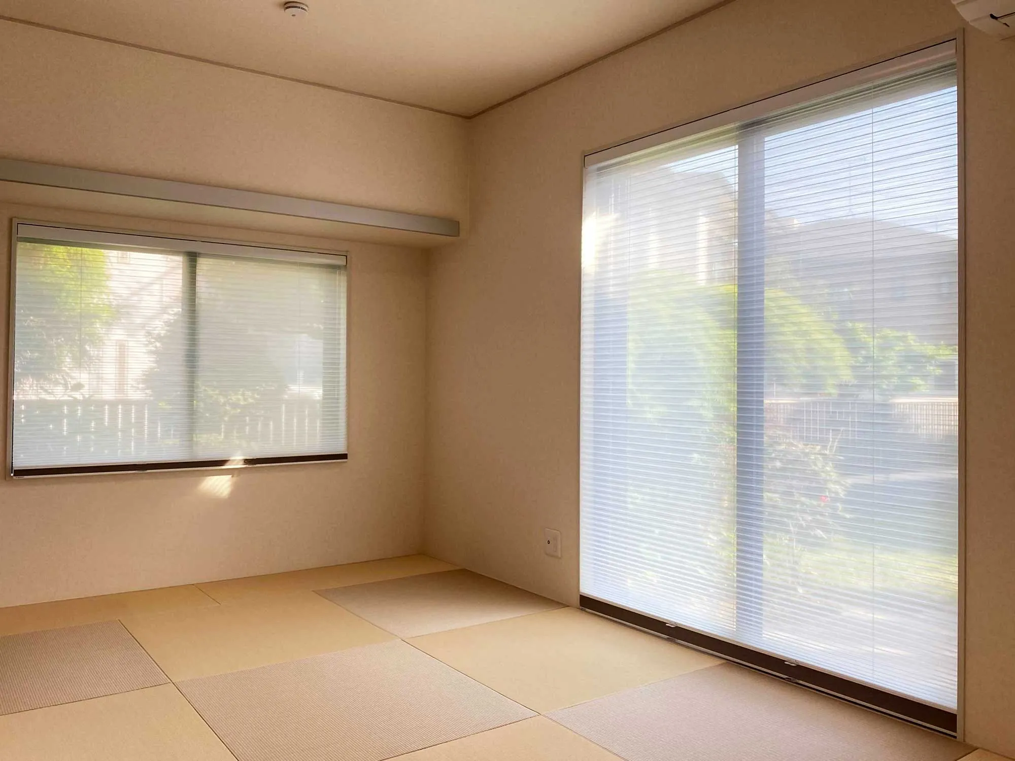 YouTubeが後押ししたオールラウンダー製品の写真2