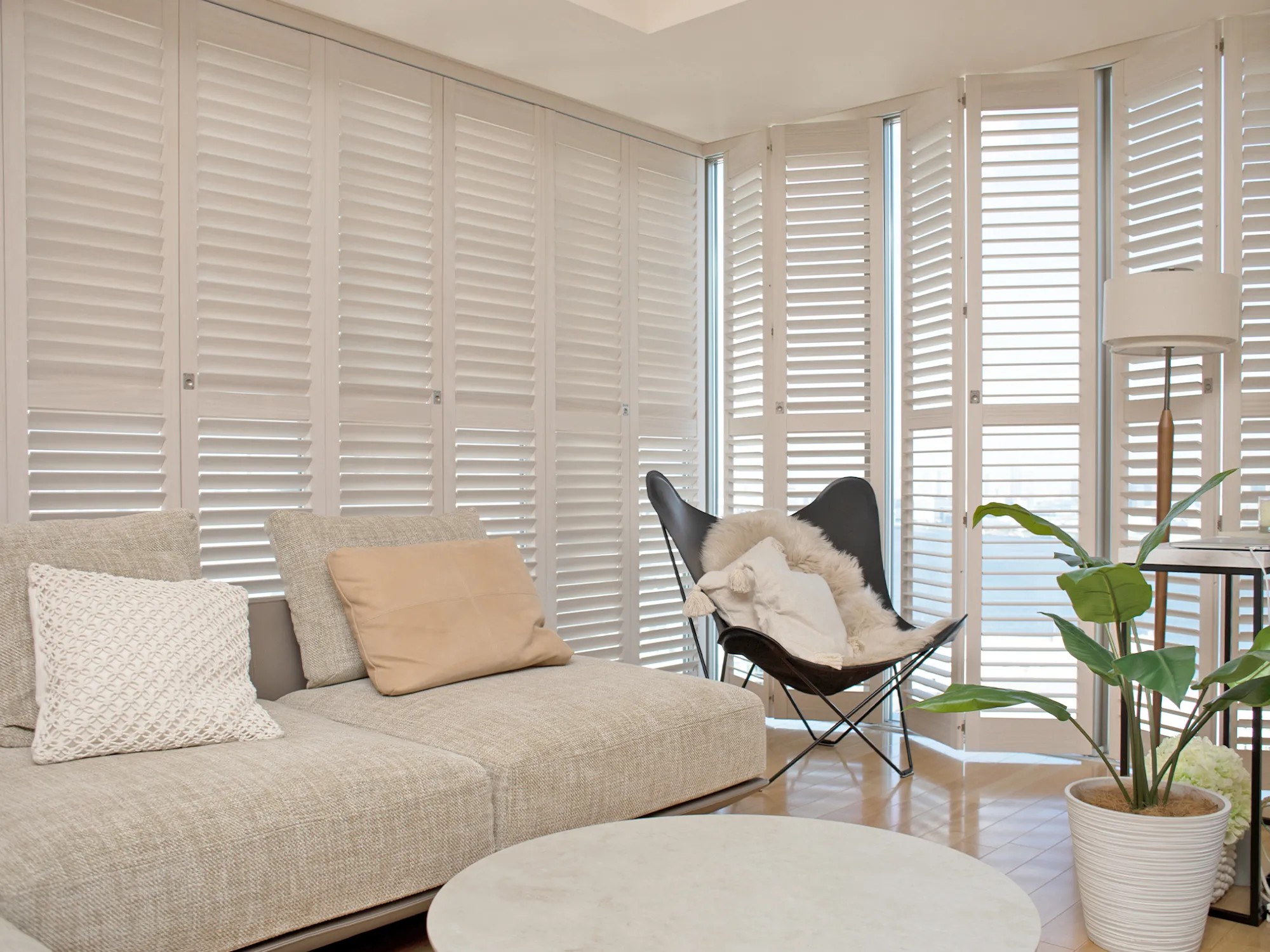 海外好きが高じて自宅の窓まわりに選定の写真1