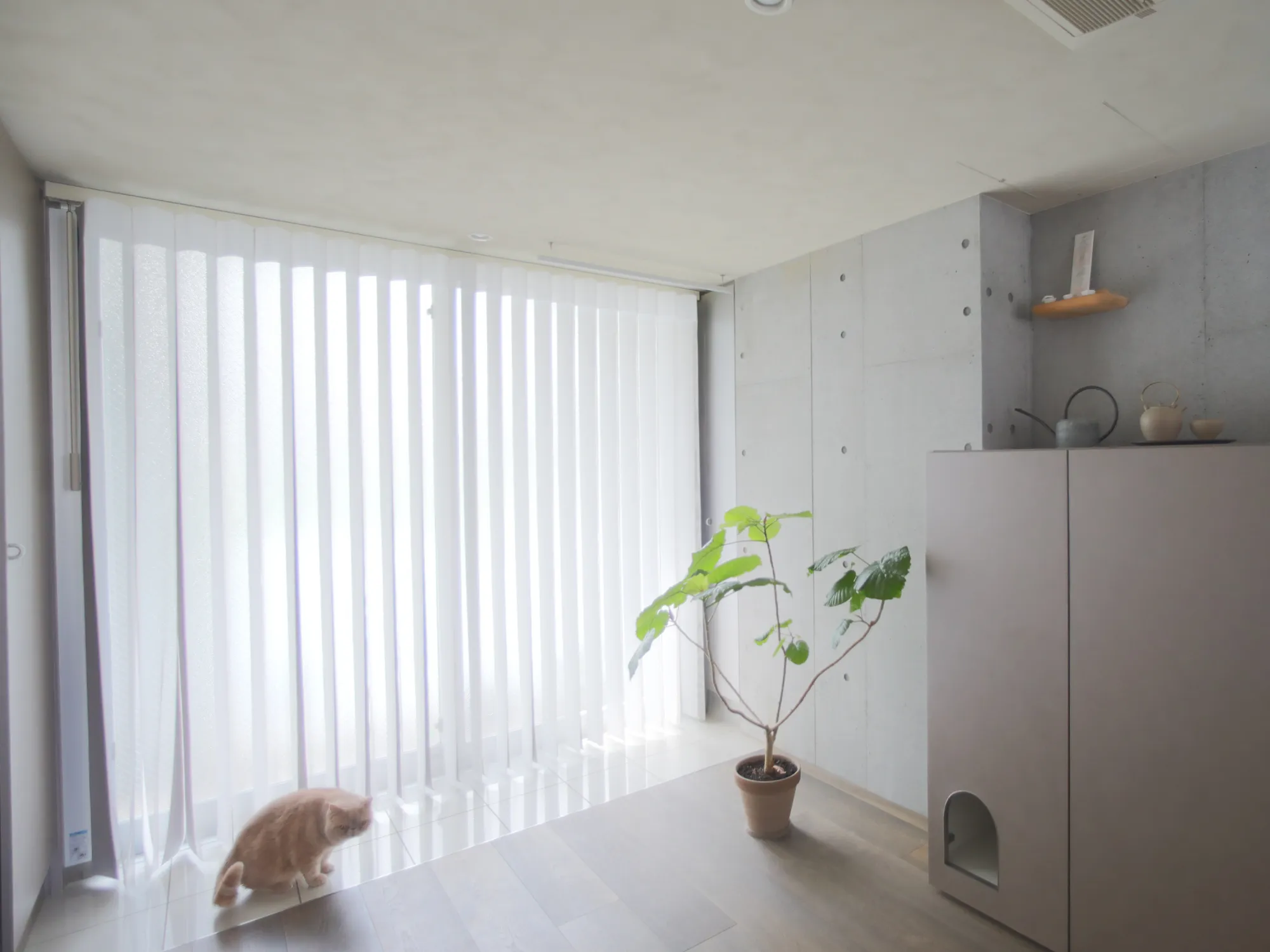 『建築家二人暮らし』タイアップ企画の写真1