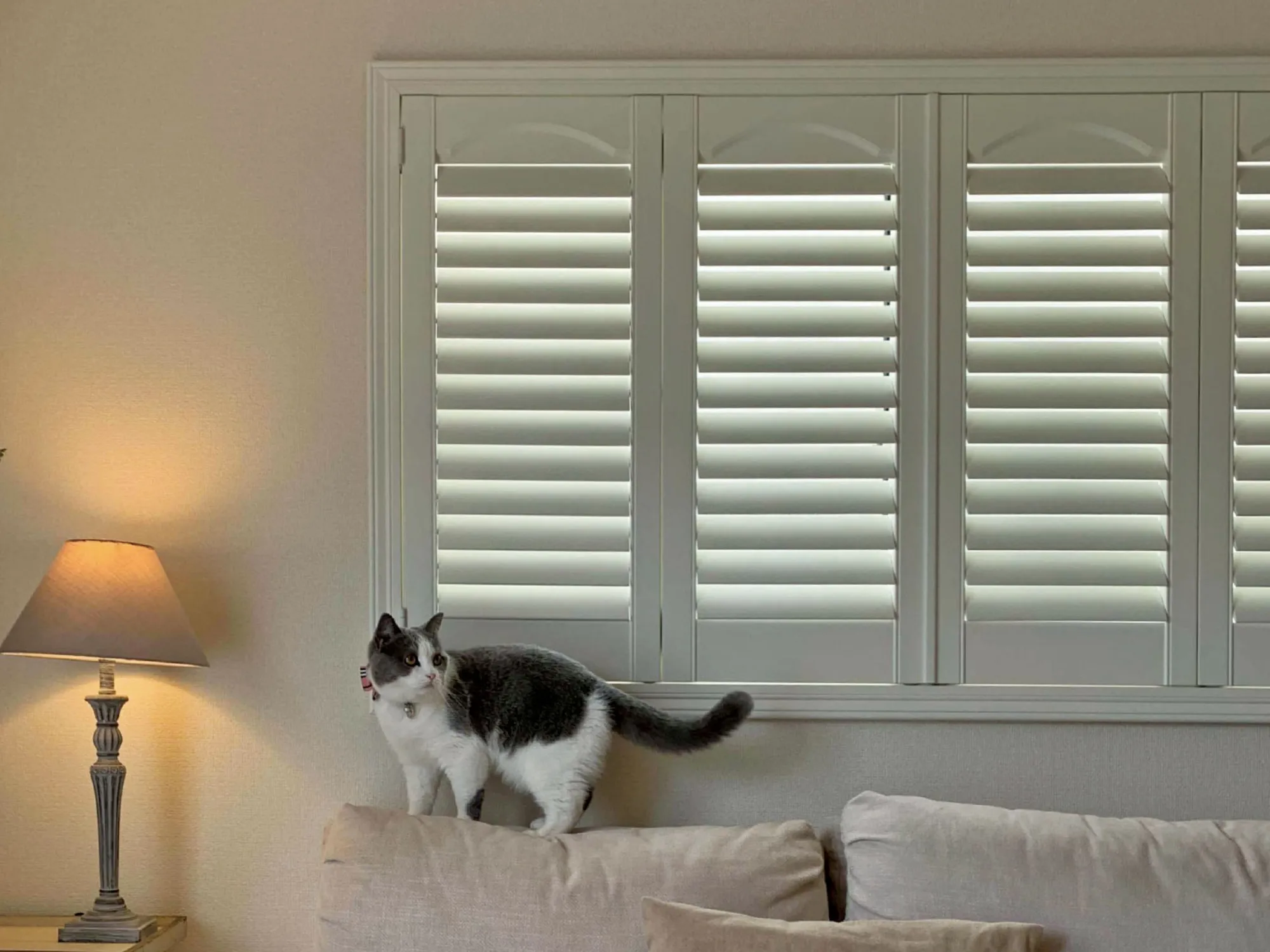 インテリアを変えて楽しむ、上級者の新築窓まわりの写真1