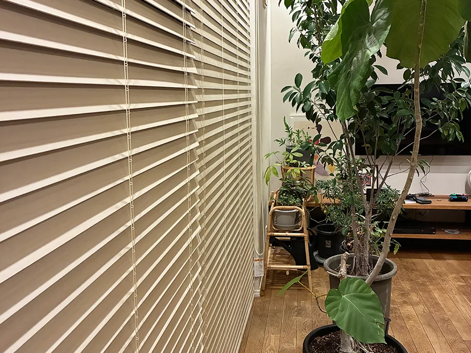 観葉植物が映えるウッドブラインドの写真4